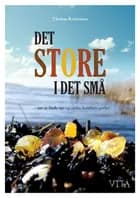 Det store i det små