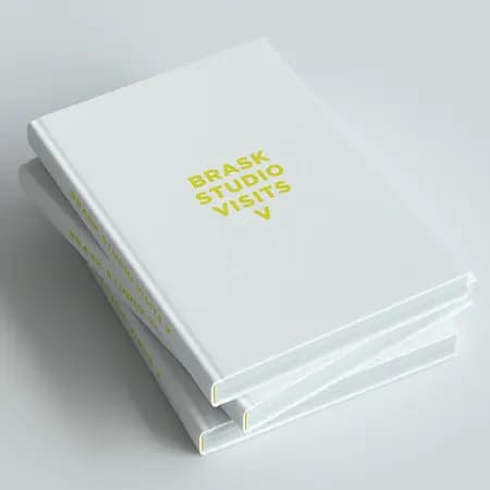 Brask Studio Visits V af Jens-Peter Brask