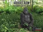 Gorillaen af Steven Kinch