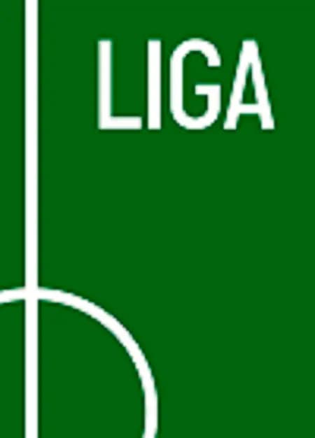 LIGA af Mikkel Davidsen