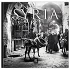 Eyes on Syria af Pernille Carstens, Thomas Bo Nielsen og Moritz Kinzel