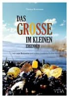 Das Grosse im kleinen erkennen 