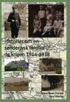 Historier om en sønderjysk familie og krigen 1914-1918 af Aase Beyer Clausen og Hans Walmar