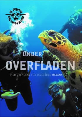 Under overfladen af Emil Midé Erichsen