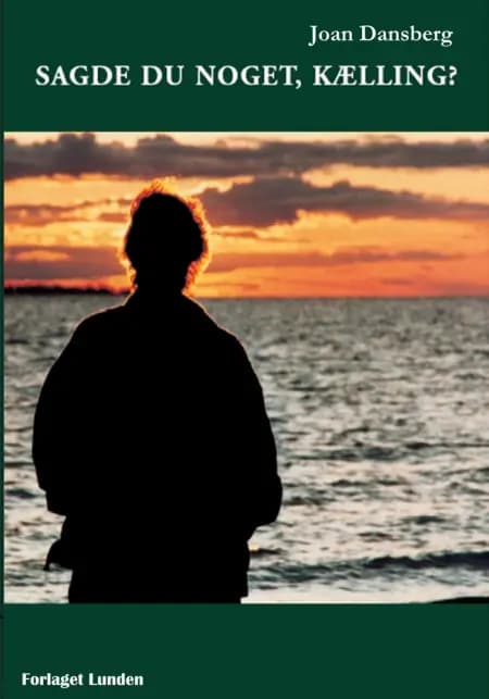 Sagde du noget, kælling? af Joan Dansberg