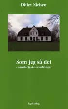Som jeg så det