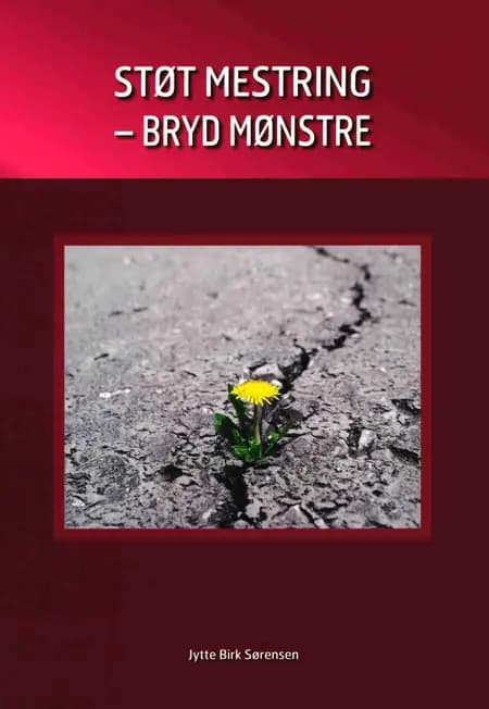 Støt mestring - bryd mønstre af Jytte Birk Sørensen
