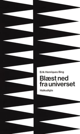 Blæst ned fra universet af Erik Henriques Bing