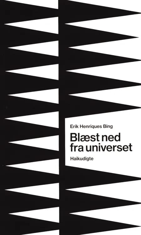 Blæst ned fra universet af Erik Henriques Bing