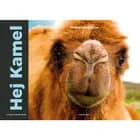 Hej Kamel