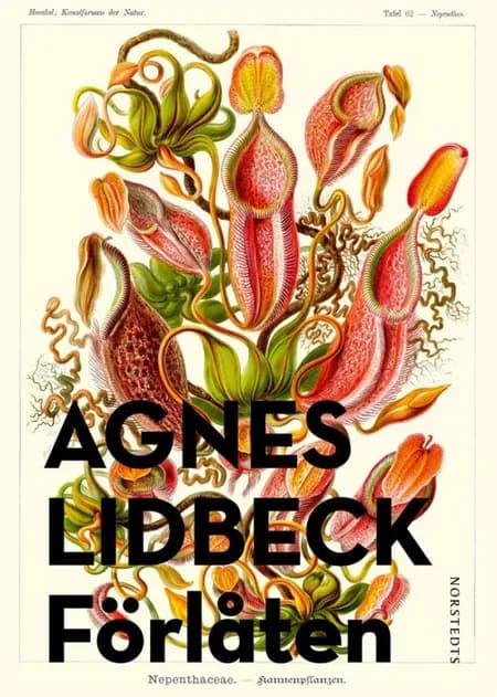 Förlåten af Agnes Lidbeck