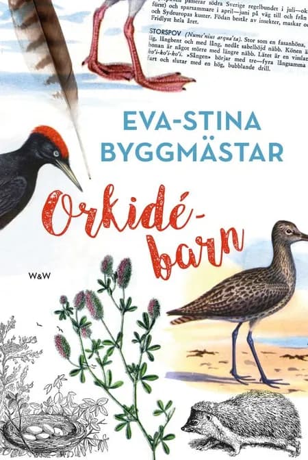Orkidébarn af Eva-Stina Byggmästar