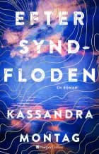 Efter syndfloden af Kassandra Montag