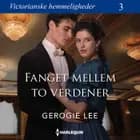 Fanget mellem to verdener af Georgie Lee