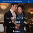 Fanget mellem to verdener