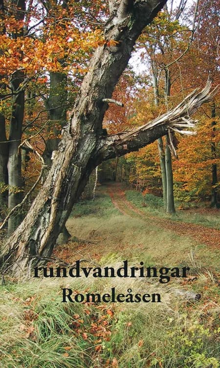 Rundvandringar Romeleåsen af Karin Hoffmann