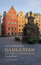 Gamla Stan :slottet och Storkyrkan : elva vandringar