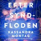 Efter syndfloden