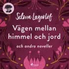 Vägen mellan himmel och jord och andra noveller af Selma Lagerlöf