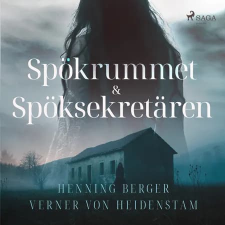 Spökrummet & Spöksekretären af Henning Berger