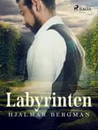 Labyrinten af Hjalmar Bergman