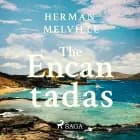 The Encantadas af Herman Melville