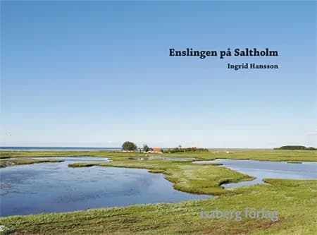 Enslingen på Saltholm af Ingrid Hansson