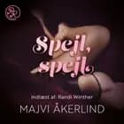 Spejl, spejl