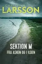 Sektion M IV