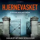 Hjernevasket af Stefan Malmström