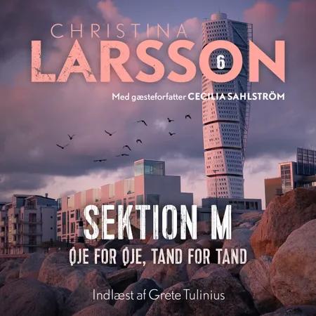 Sektion M VI af Christina Larsson