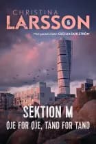 Sektion M - 6