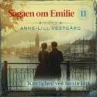 Kærlighed ved første blik - 11 af Anne-Lill Vestgård