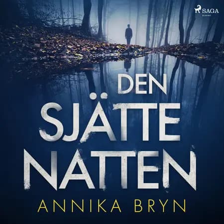 Den sjätte natten af Annika Bryn