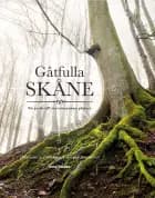 Gåtfulla Skåne : en guide till mytomspunna platser af Caroline Alesmark og Polgara Järnefelt