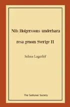 Nils Holgerssons underbara resa genom Sverige II