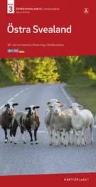 Östra Svealand : bil- och turistkarta - road map - Straßenkarte af Norstedts