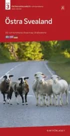 Östra Svealand : bil- och turistkarta - road map - Straßenkarte