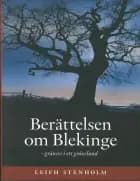 Berättelsen om Blekinge : gränser i ett gränsland