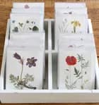 FLORA DANICA Minikort (A7) i plastbokse
