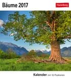 Bäume Postkortkalender 2017