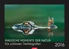 Magische Momente der Natur: Die schönsten Tierfotografien 2016