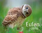Eulen 2018 Kalender