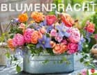 Blumenpracht 2017