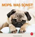 Mops Postkortkalender 2017