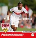VfB Stuttgart Postkortkalender 2017
