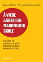 Å være lærer i en mangfoldig skole : kulturelt og religiøst mangfold, profesjonsverdier og verdigrunnlag