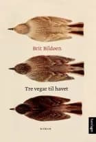 Tre vegar til havet : roman