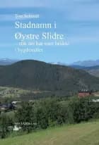 Stadnamn i Øystre Slidre : slik dei har vore brukte i bygdemålet - slik dei har vore brukte i bygdemålet, Tom Schmidt