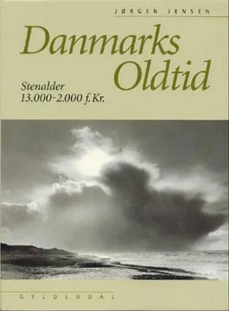 Danmarks oldtid bd. 1 af Jørgen Jensen